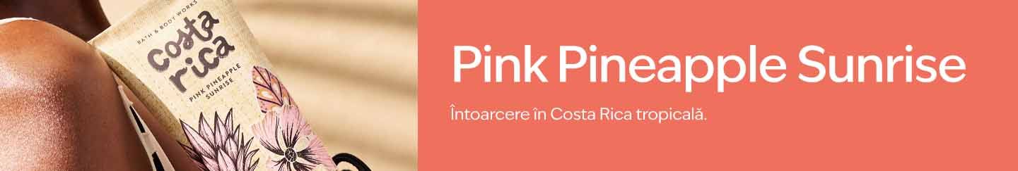 Pink Pineapple Sunrise