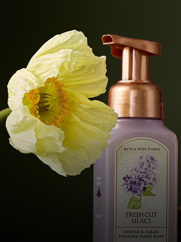 Săpunuri de mâini