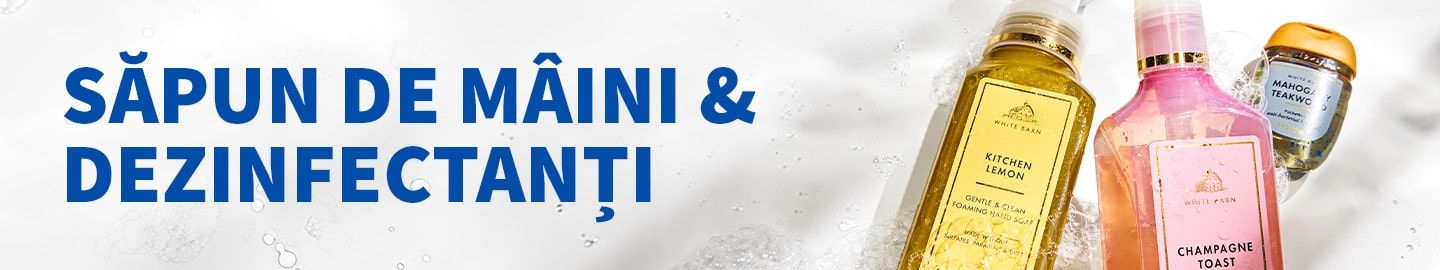 Săpunuri de mâini și dezinfectanți