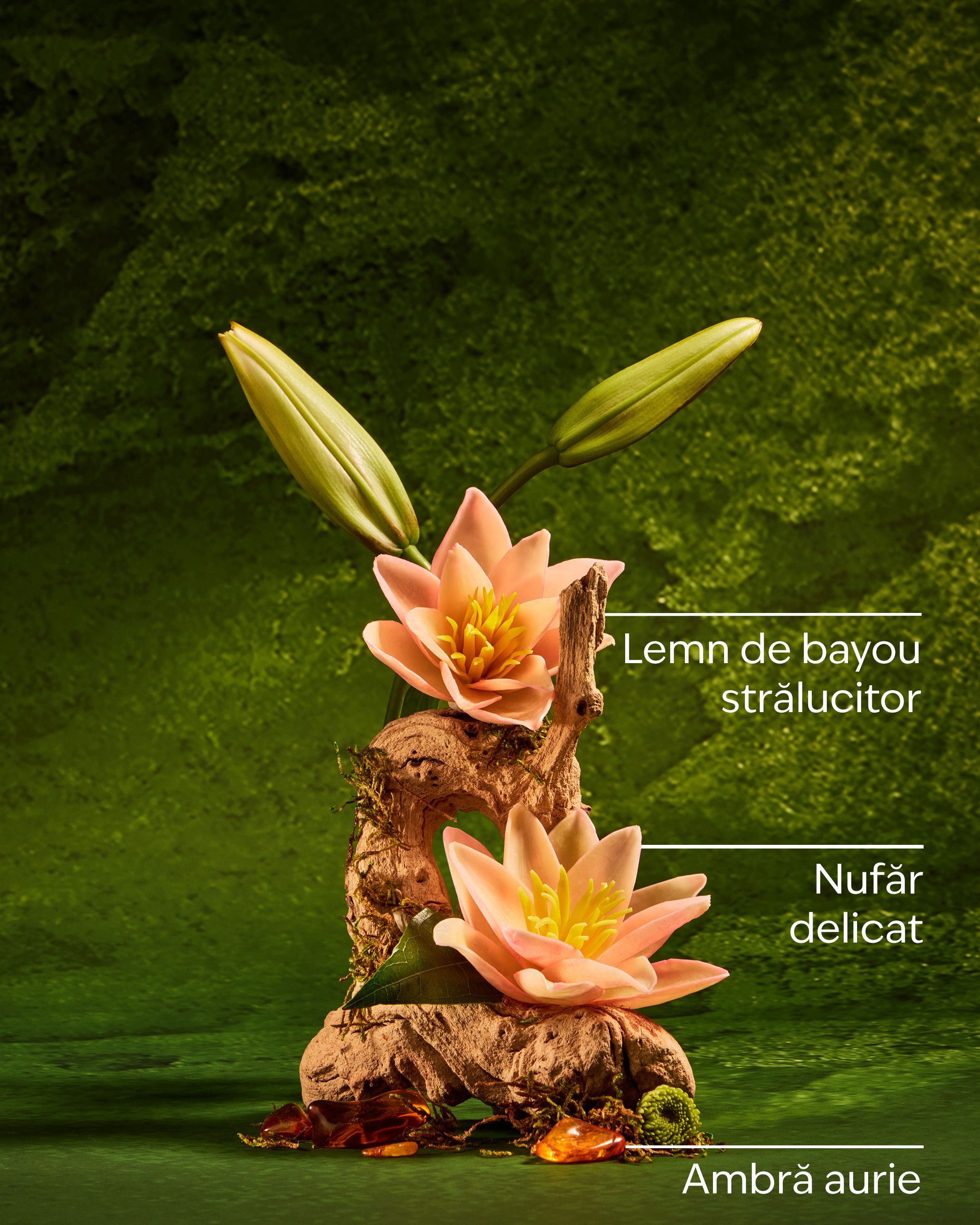 Cremă de corp Tiana Disney Princess – design verde floral și hidratare intensă 48h.