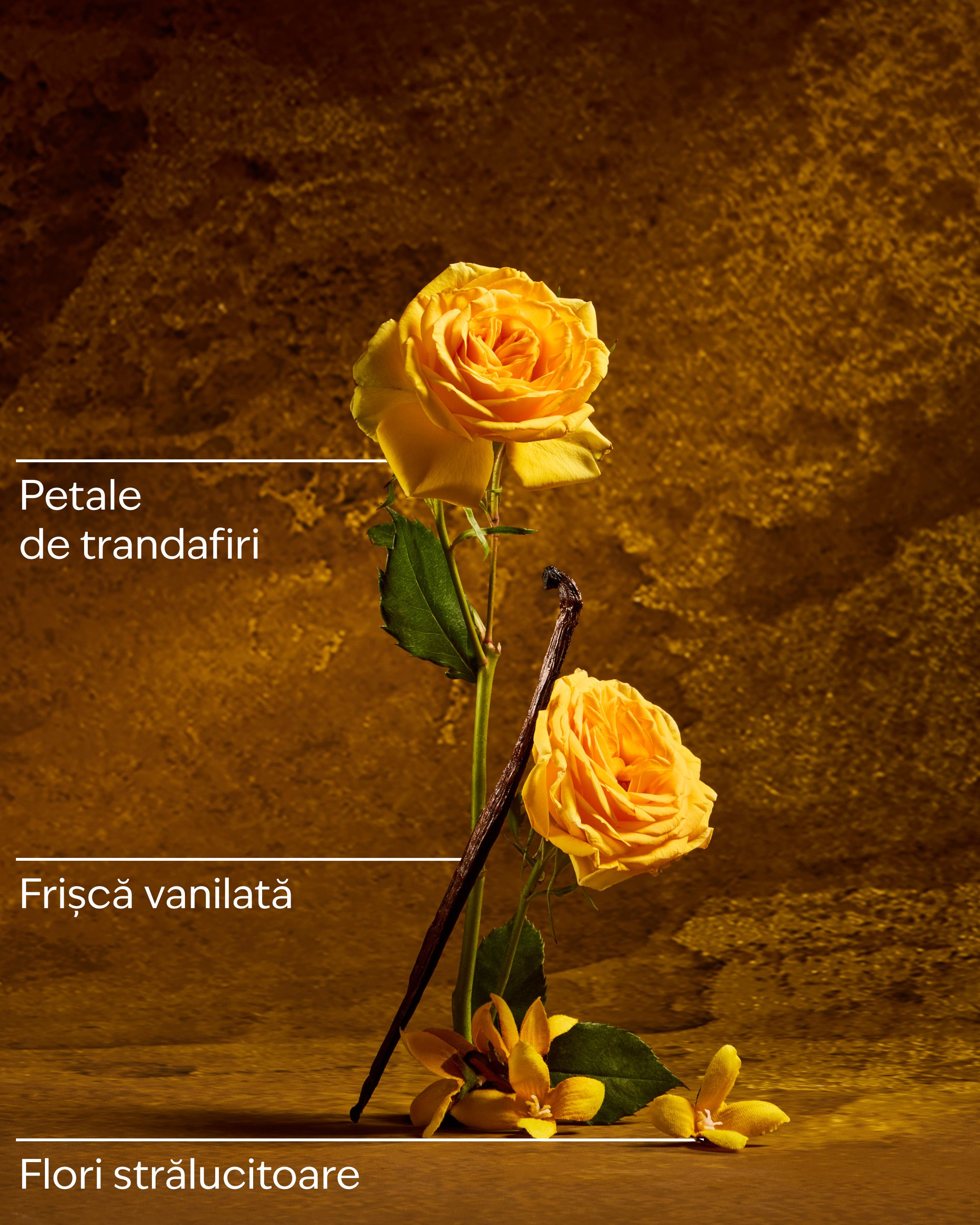 Cremă de corp Belle Disney Princess – design auriu‑albastru și hidratare intensă 48h.