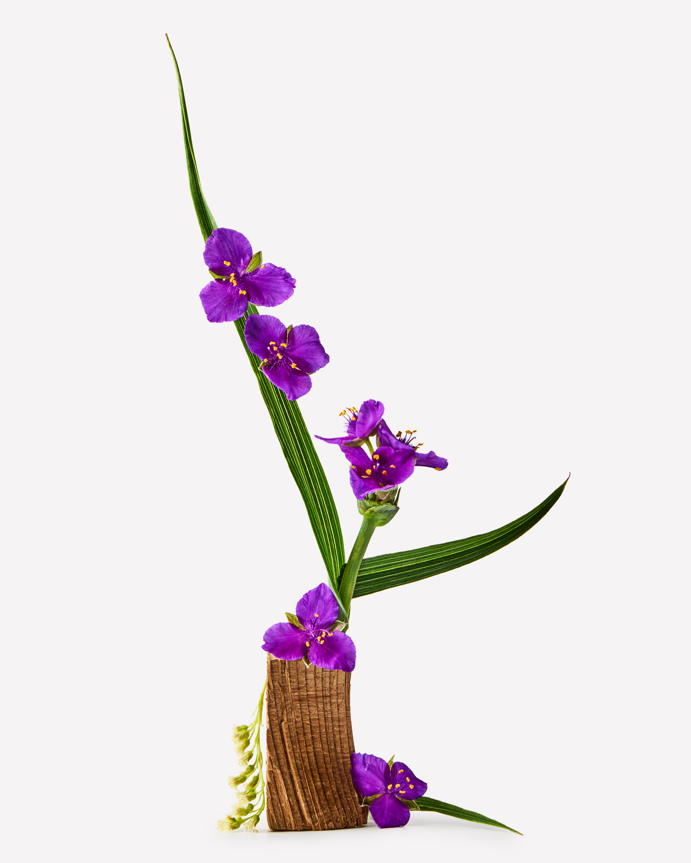 Gel de duș Very Violet Bath & Body Works cu flori de violetă pe etichetă