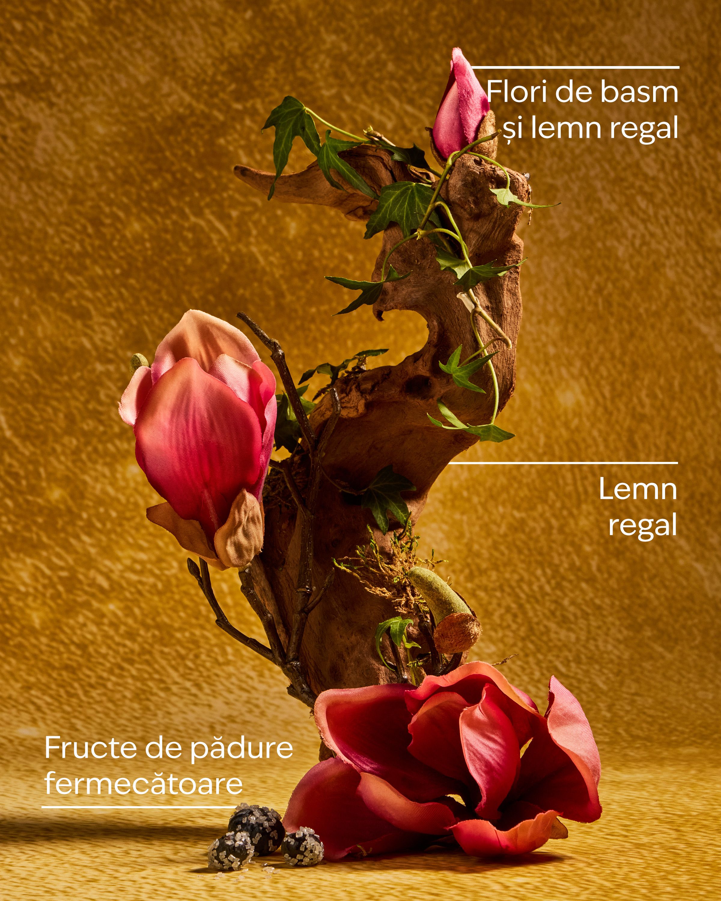 Brumă Life’s a Fairytale – design auriu cu simboluri de prințese și prospețime delicată.