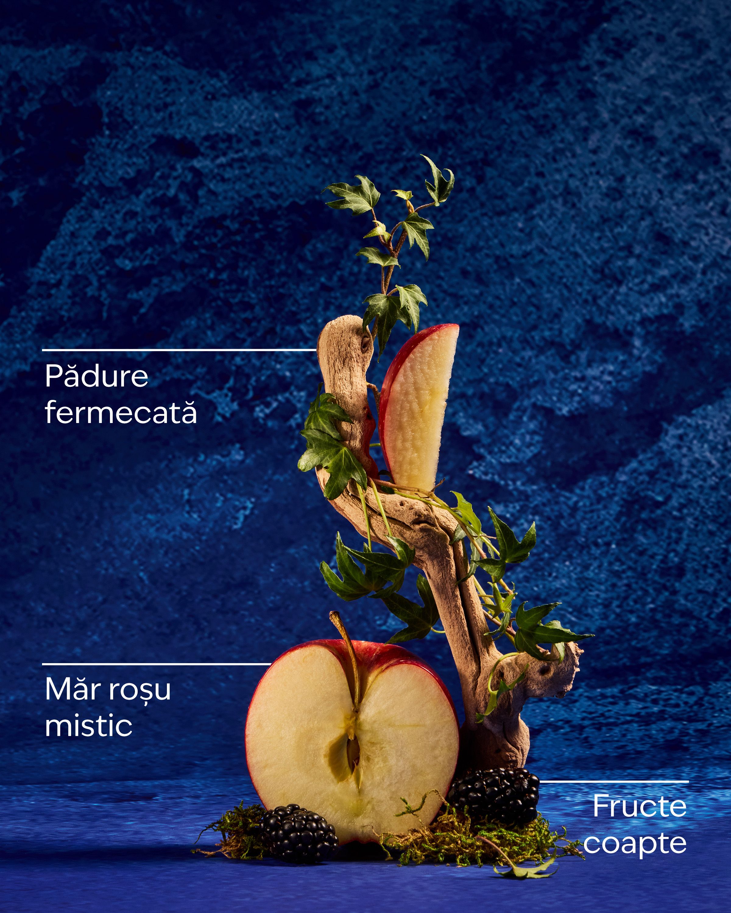 Gel de duș Snow White într-un recipient decorativ, inspirat de elementele colecției Disney Princess.