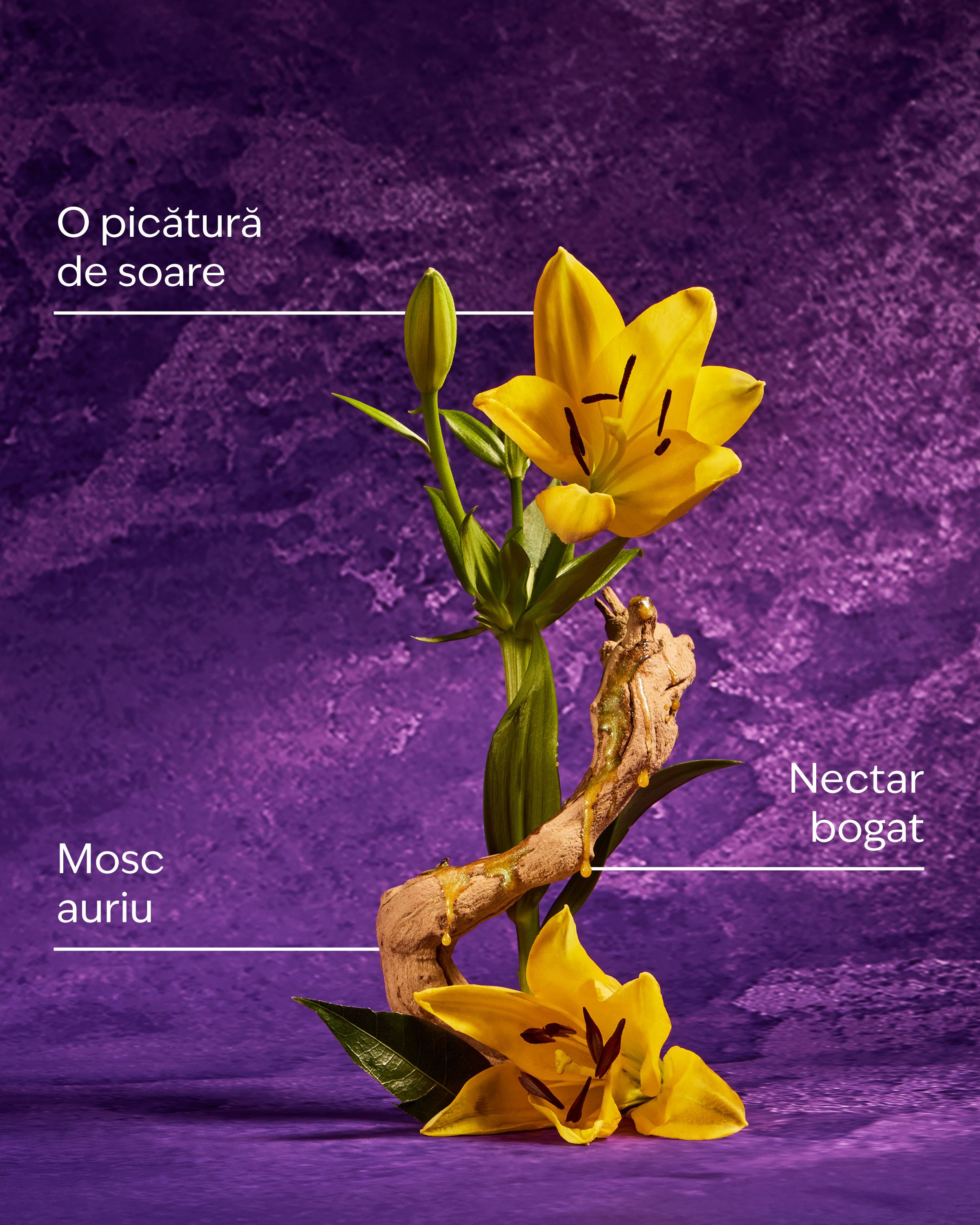 Gel de duș Rapunzel într-un recipient decorativ, inspirat de elementele colecției Disney Princess.