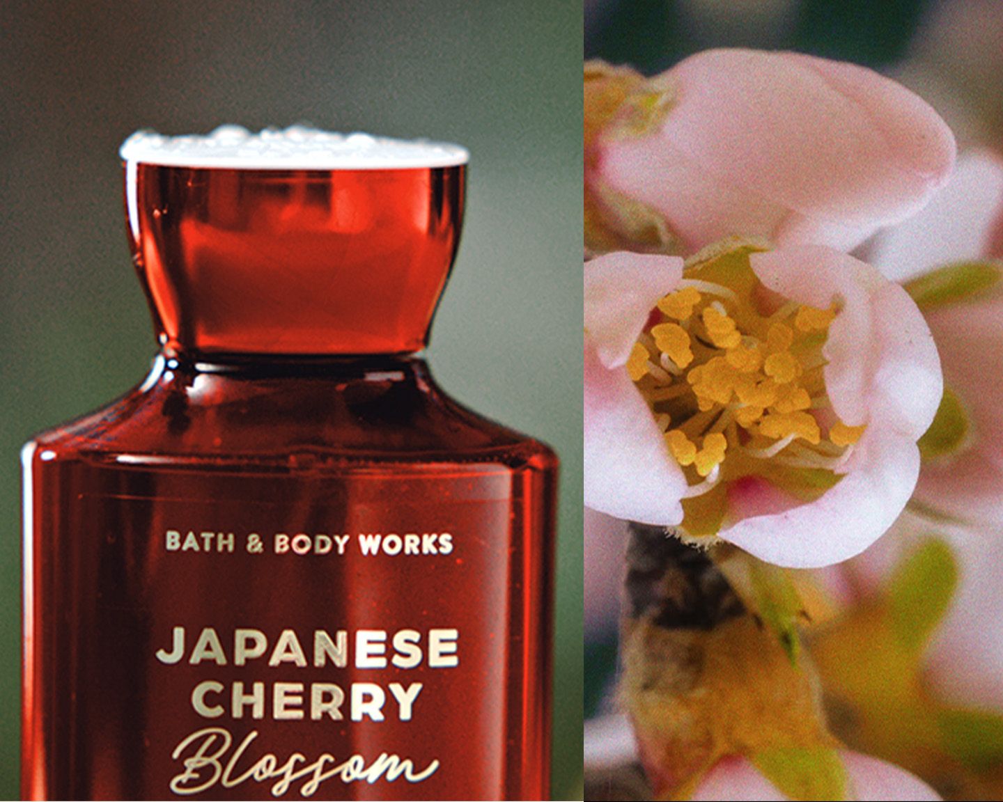 専用 Bath & Body Works Candle Body Wash Bath & Body Works - Produse de îngrijire și pentru casă pe care le